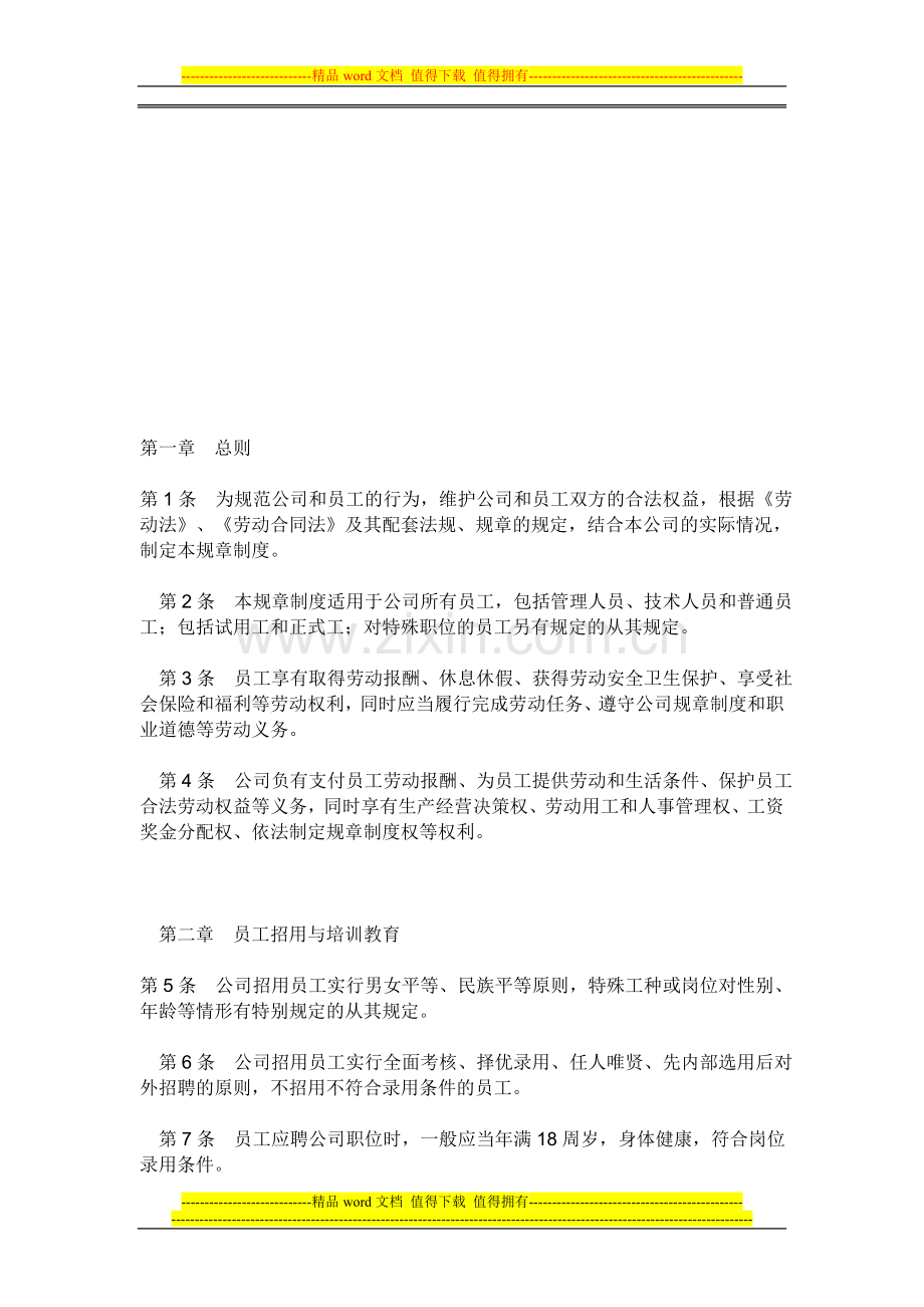 公司规章制度法规.doc_第2页