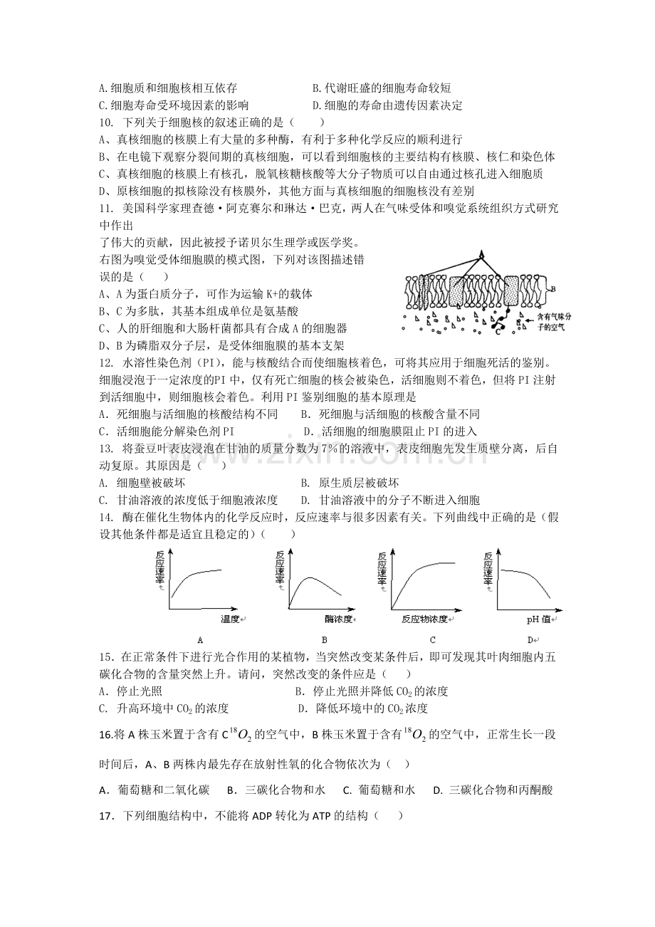 高一生物下册4月月考试题10.doc_第2页