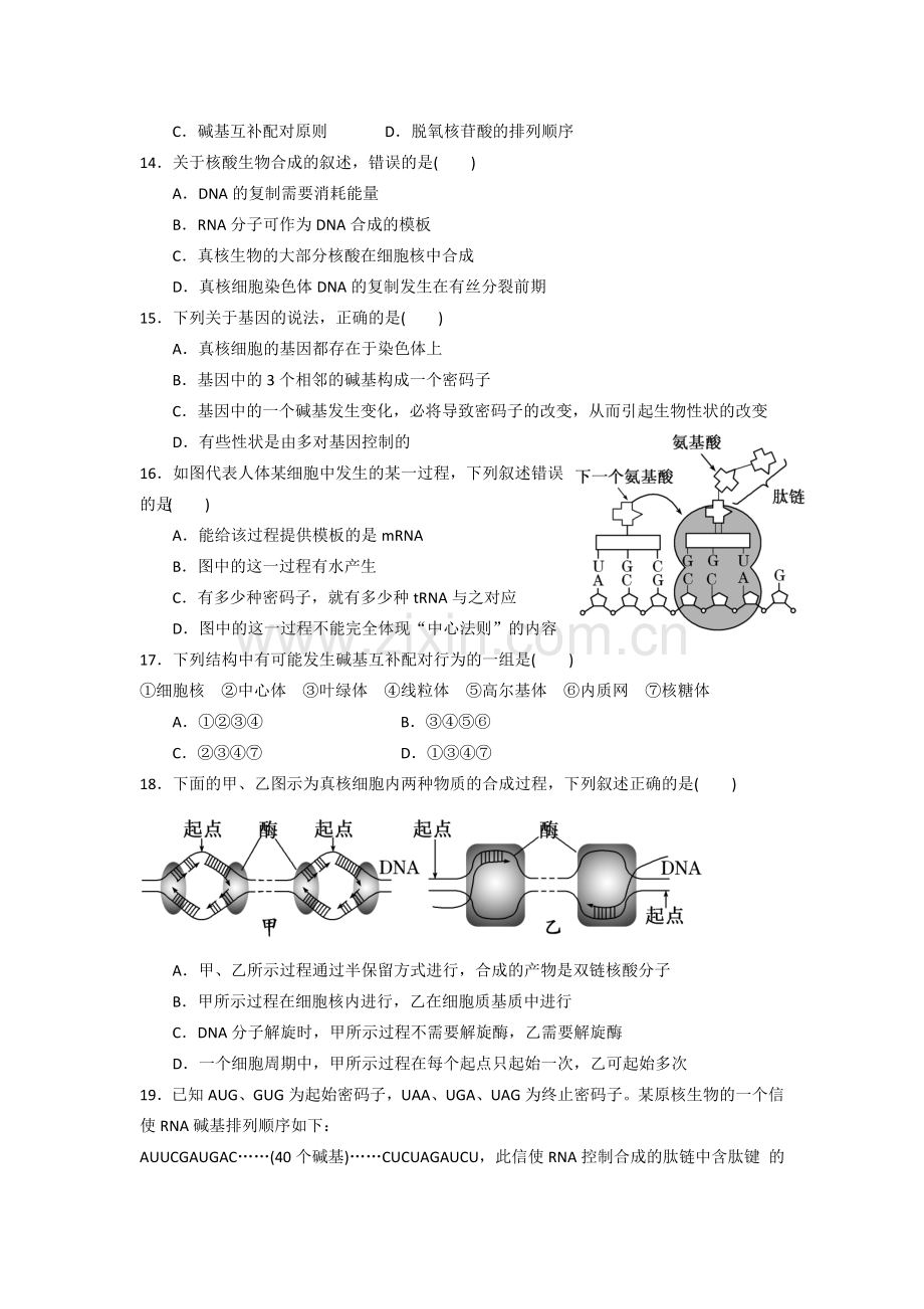 高一生物下册5月月考检测试卷2.doc_第3页