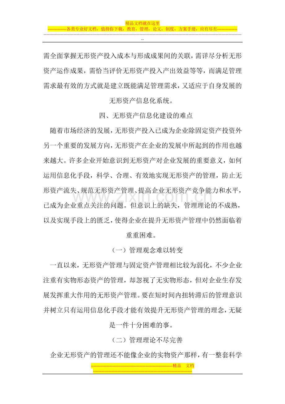 无形资产信息化管理模式.doc_第3页