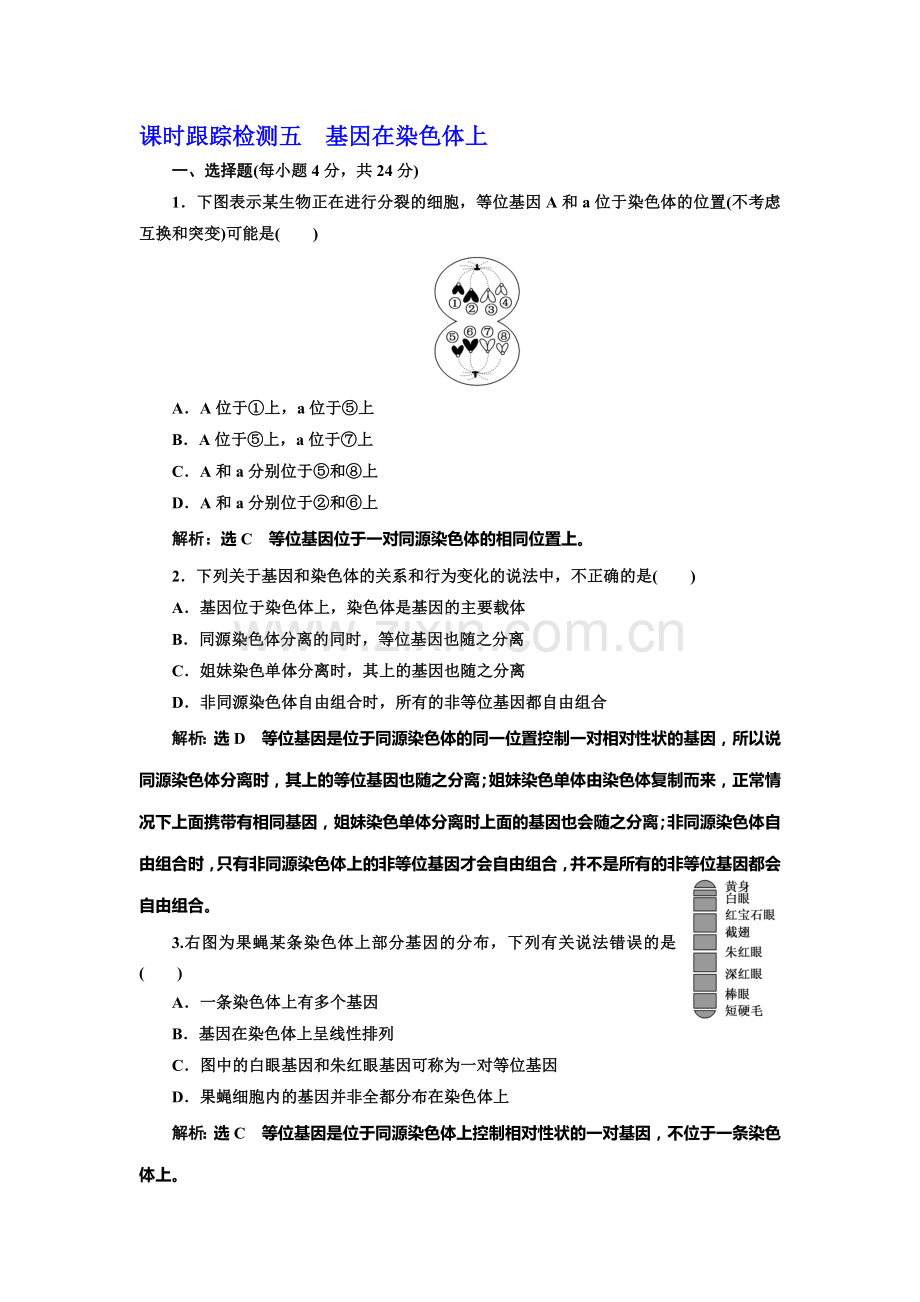 2016-2017学年高一生物下册课时阶段质量检测24.doc_第1页