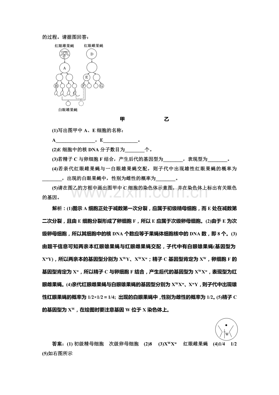 2016-2017学年高一生物下册课时阶段质量检测24.doc_第3页