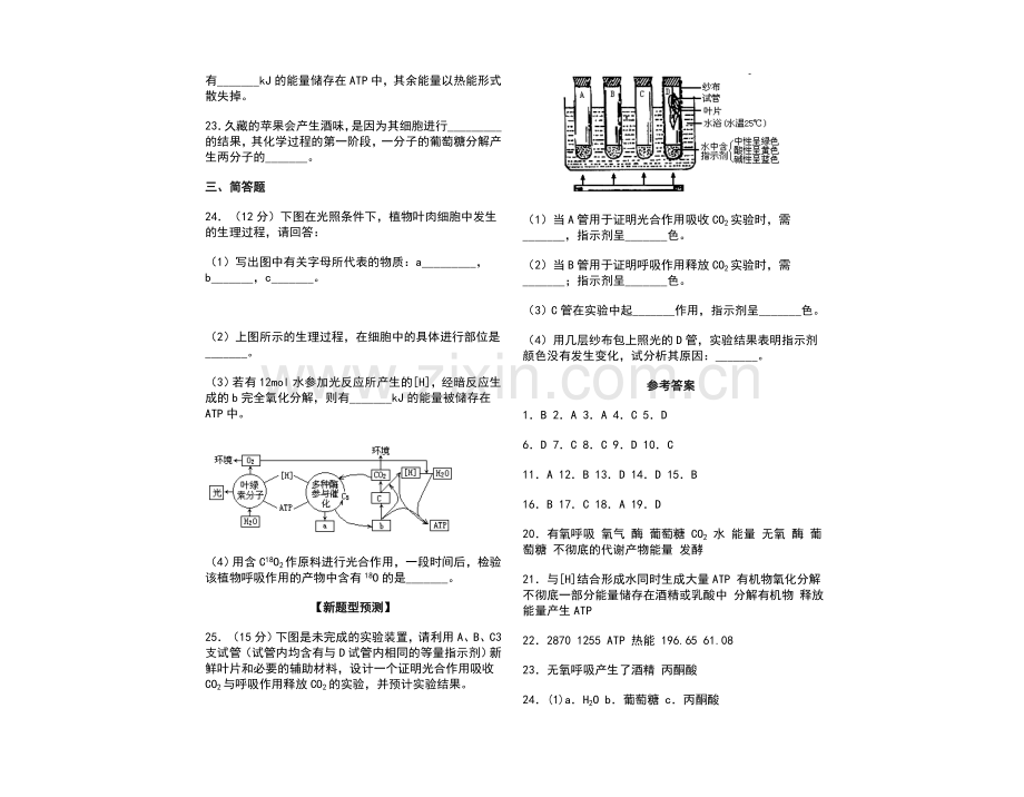 呼吸作用课时考点(一).doc_第3页