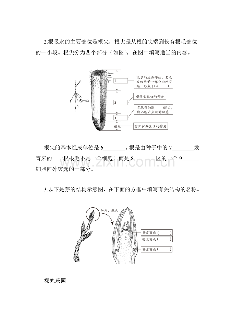 七年级生物上学期课时综合测评试题5.doc_第3页