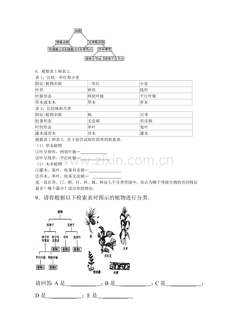 生物检索表课时练习.doc_第3页