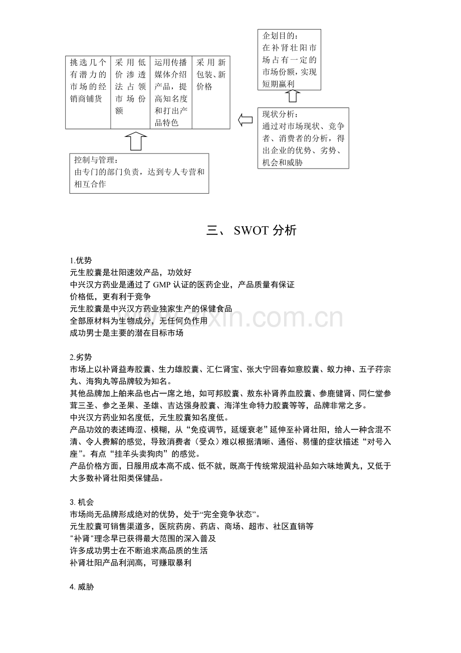 元生胶囊营销策划提案.doc_第3页