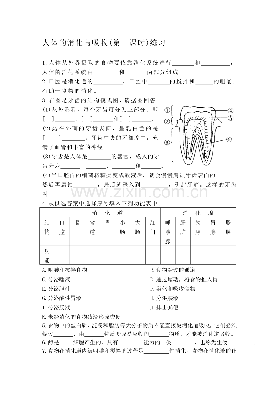 人体的消化与吸收同步测试.doc_第1页