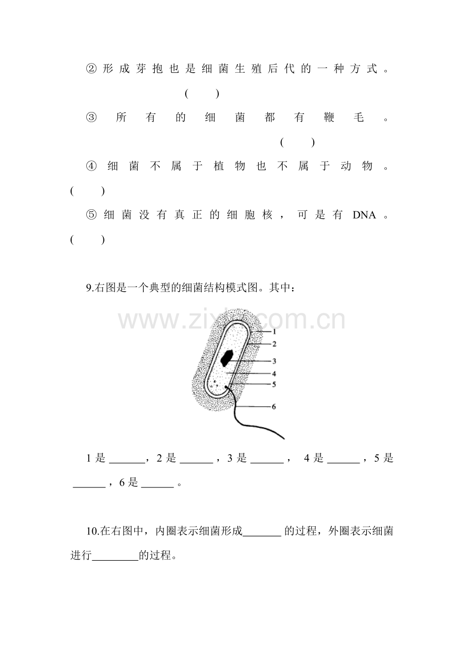 细菌同步练习题.doc_第3页