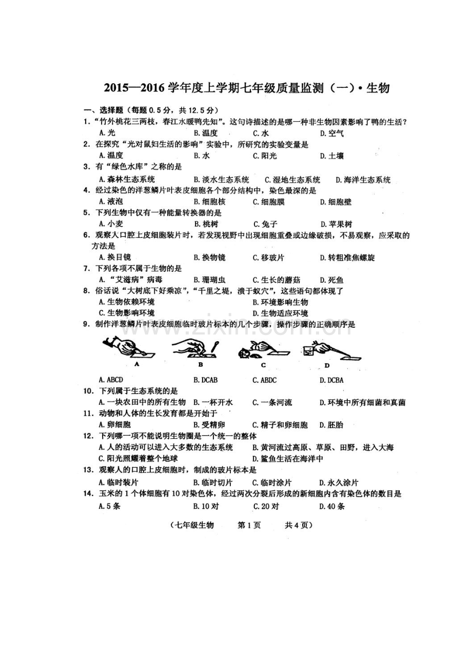 2015-2016学年七年级生物上册期中检测试题4.doc_第1页