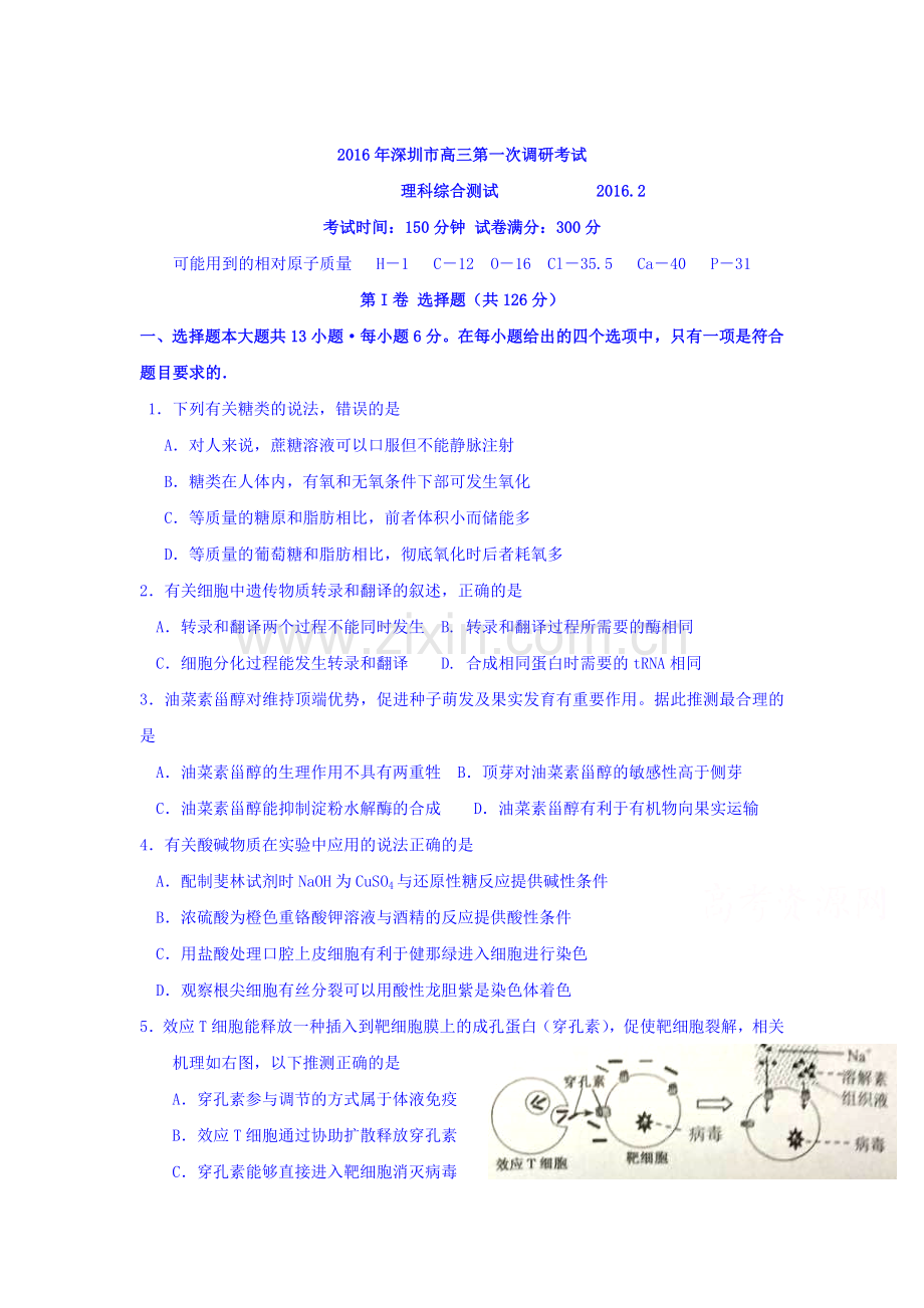 广东省深圳市2016届高三生物下册第一次调研考试题.doc_第1页