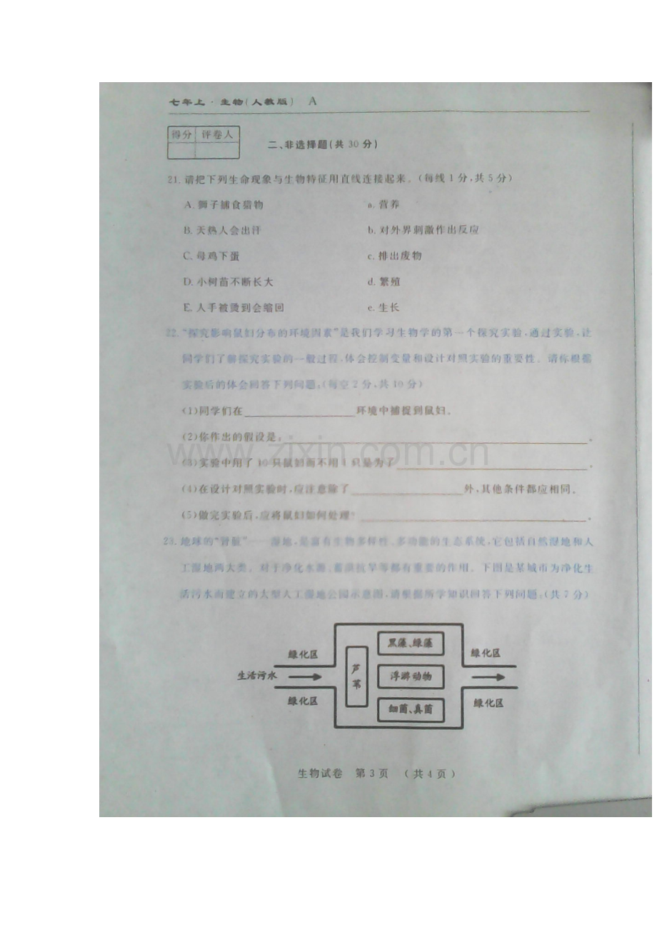 七年级生物上册第一次月考试题5.doc_第3页