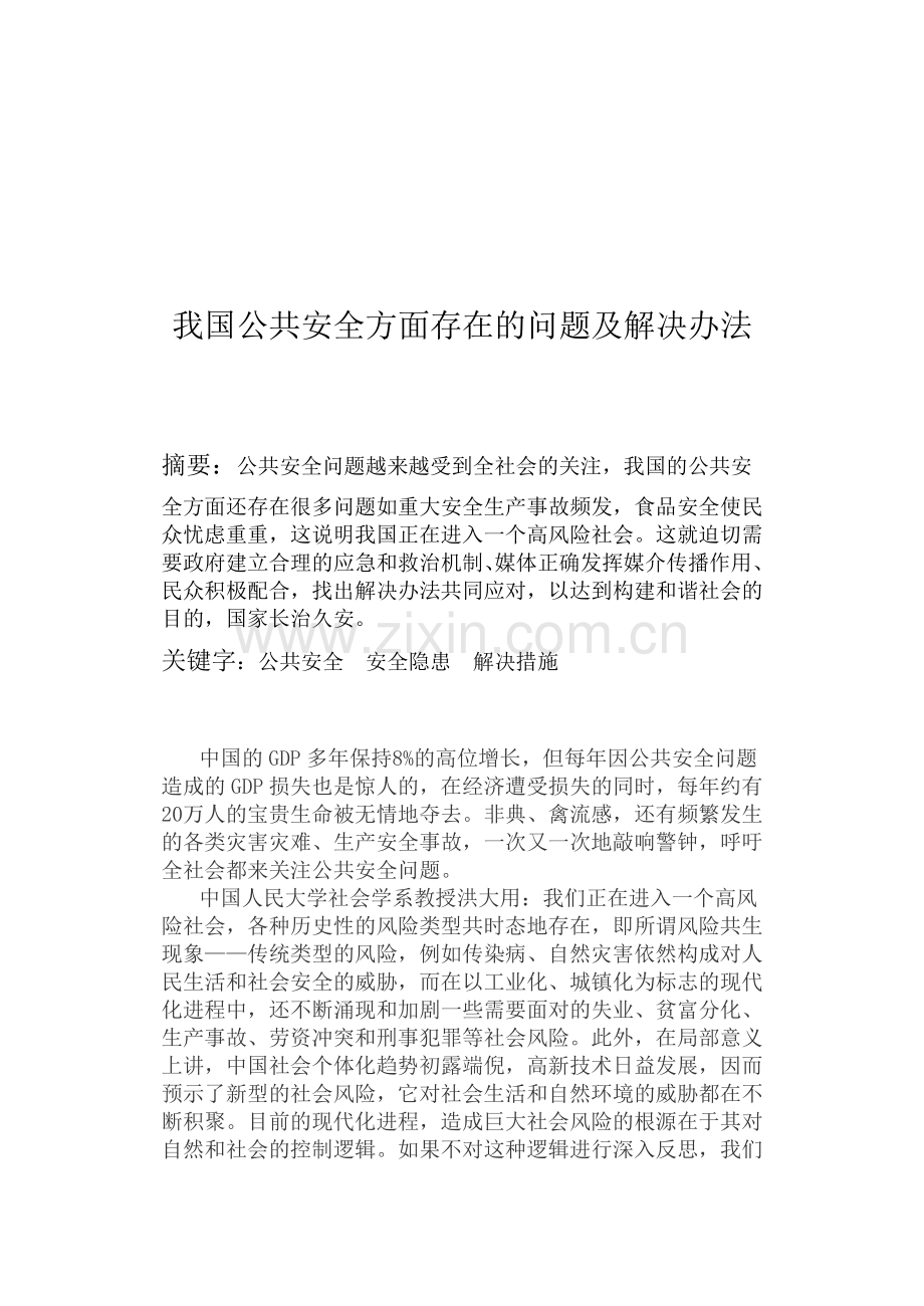 我国公共安全方面存在的问题及解决办法.doc_第1页