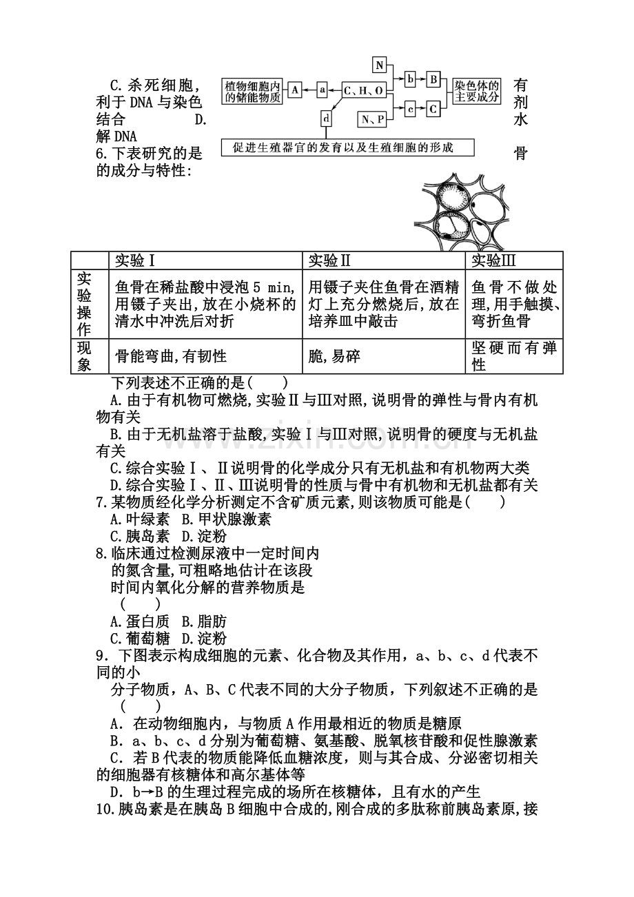 河北省武邑中学2015-2016学年高一生物上册寒假作业5.doc_第2页