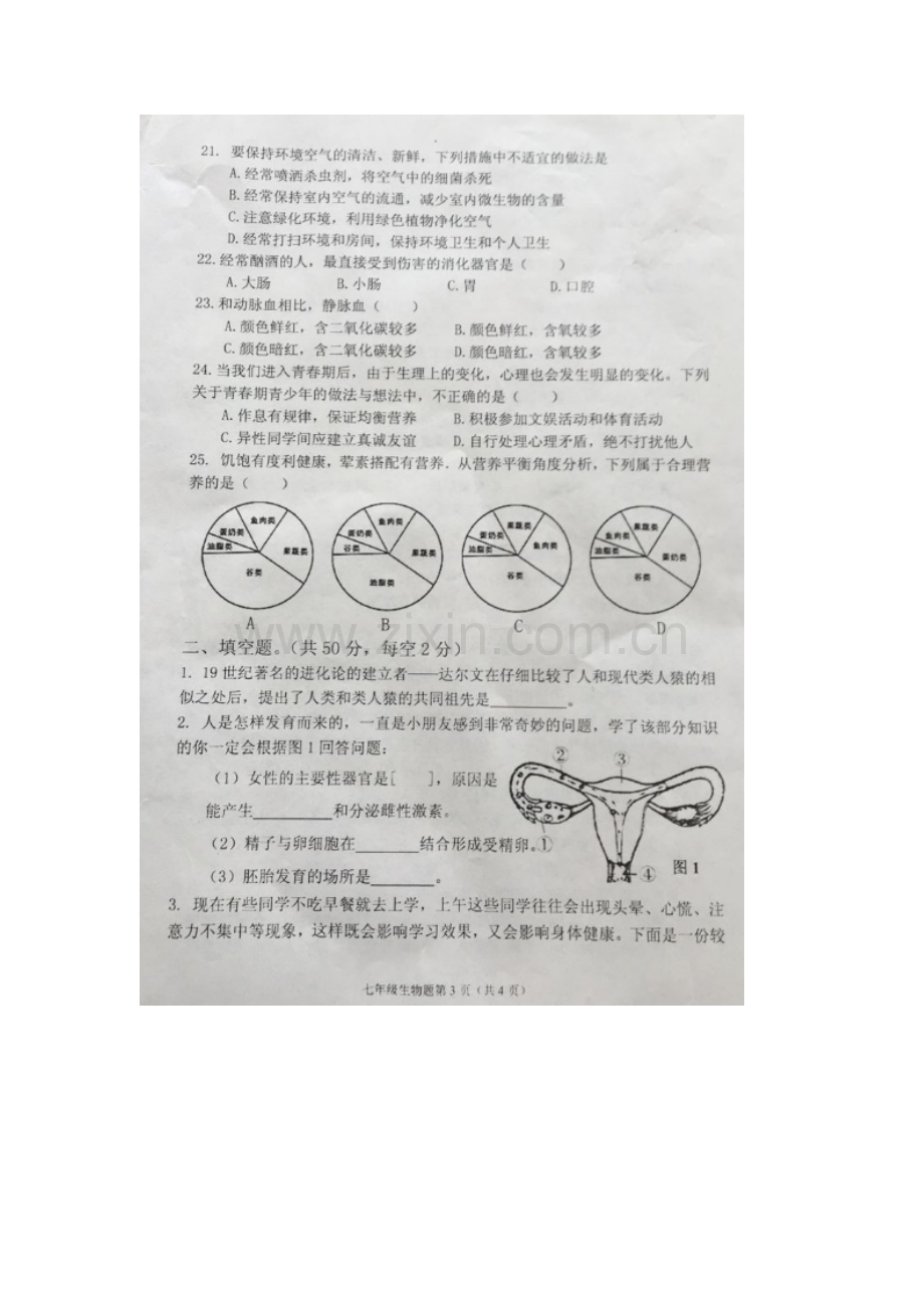 广西岑溪市2015-2016学年七年级生物下册期中测试题1.doc_第3页