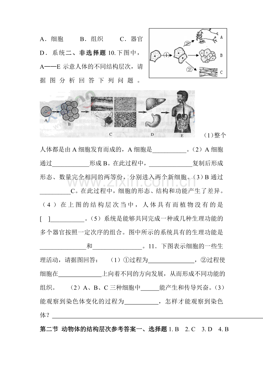 动物体的结构层次课时训练.doc_第2页