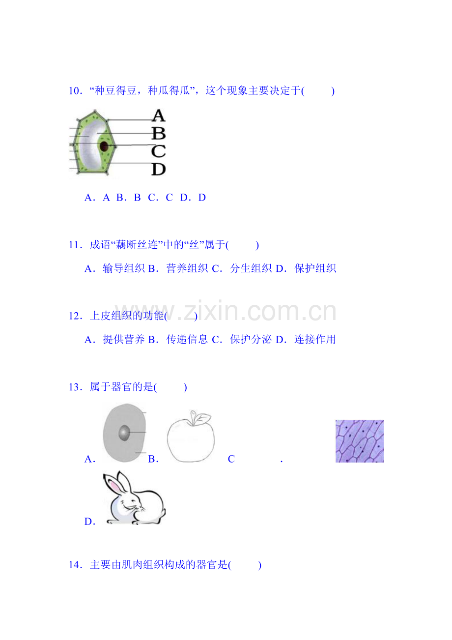 2015-2016学年七年级生物上册11月阶段检测试题.doc_第3页