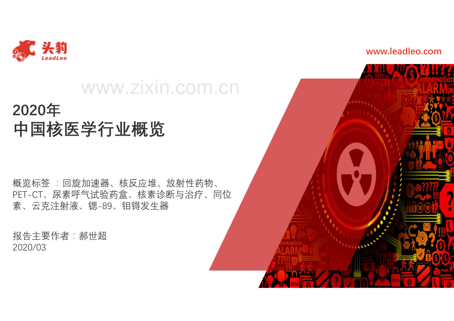 2020年中国核医学行业概览.pdf_第1页