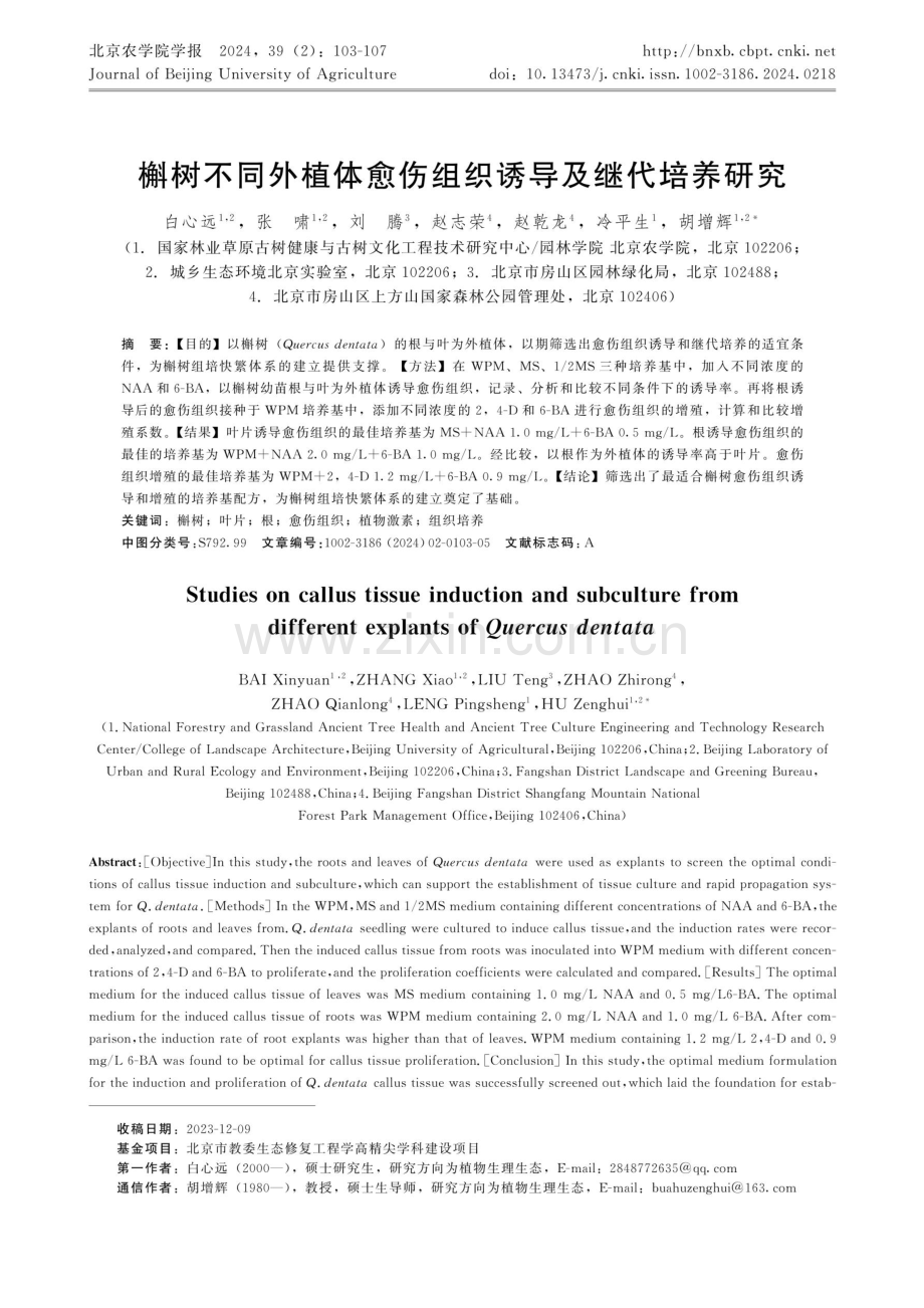 槲树不同外植体愈伤组织诱导及继代培养研究.pdf_第1页