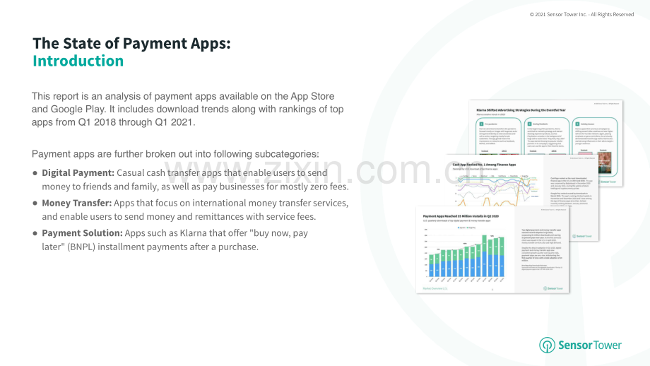 2021年支付应用报告.pdf_第2页