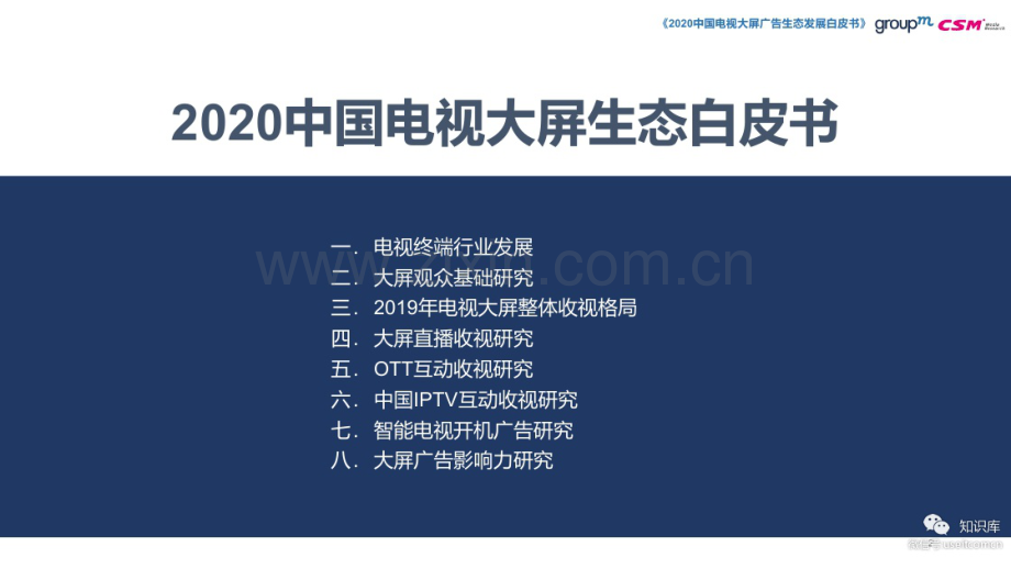 2020电视大屏生态白皮书.pdf_第2页