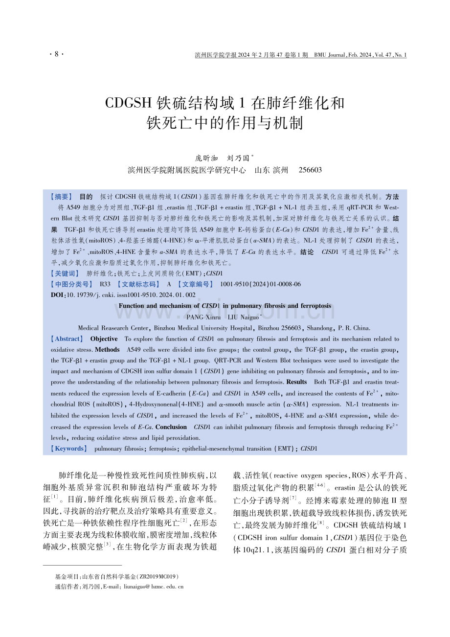 CDGSH铁硫结构域1在肺纤维化和铁死亡中的作用与机制.pdf_第1页