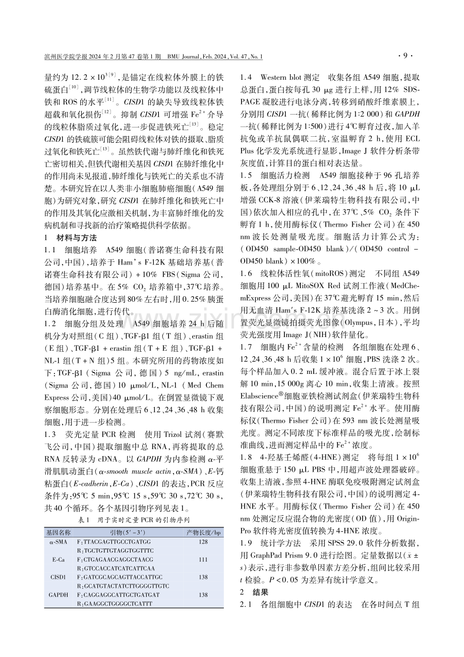 CDGSH铁硫结构域1在肺纤维化和铁死亡中的作用与机制.pdf_第2页