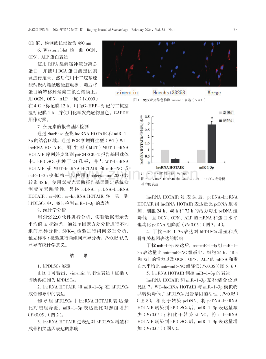 lncRNA HOTAIR对人牙周膜干细胞增殖和骨向分化的影响.pdf_第3页