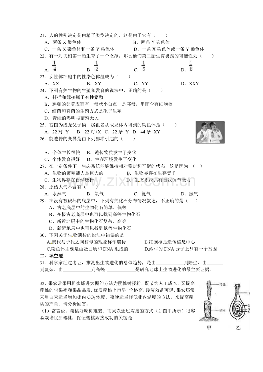 山东省枣庄市2015-2016学年八年级生物下册期中测试题.doc_第3页