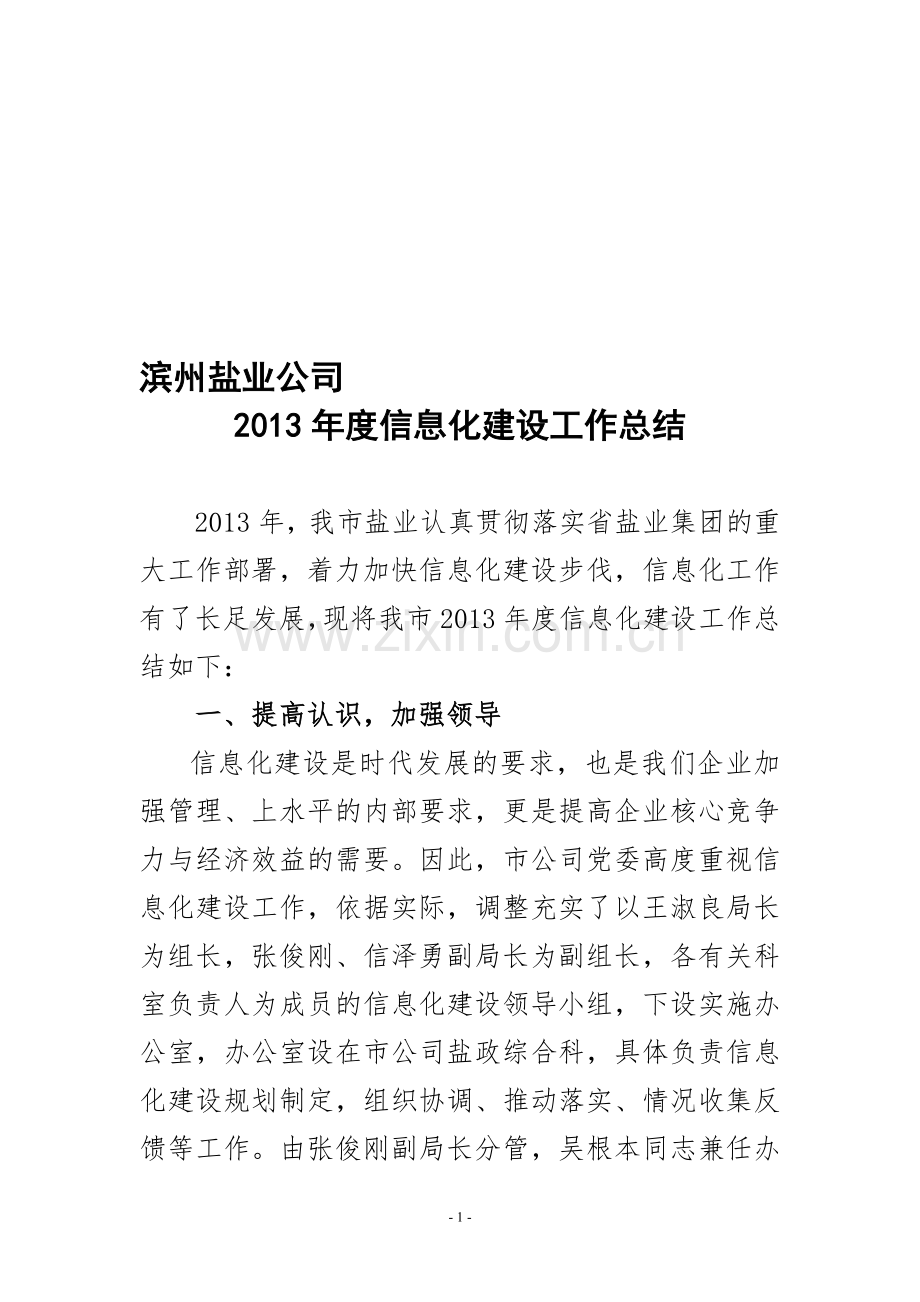 滨州盐业公司2013年度信息化建设工作总结.doc_第1页