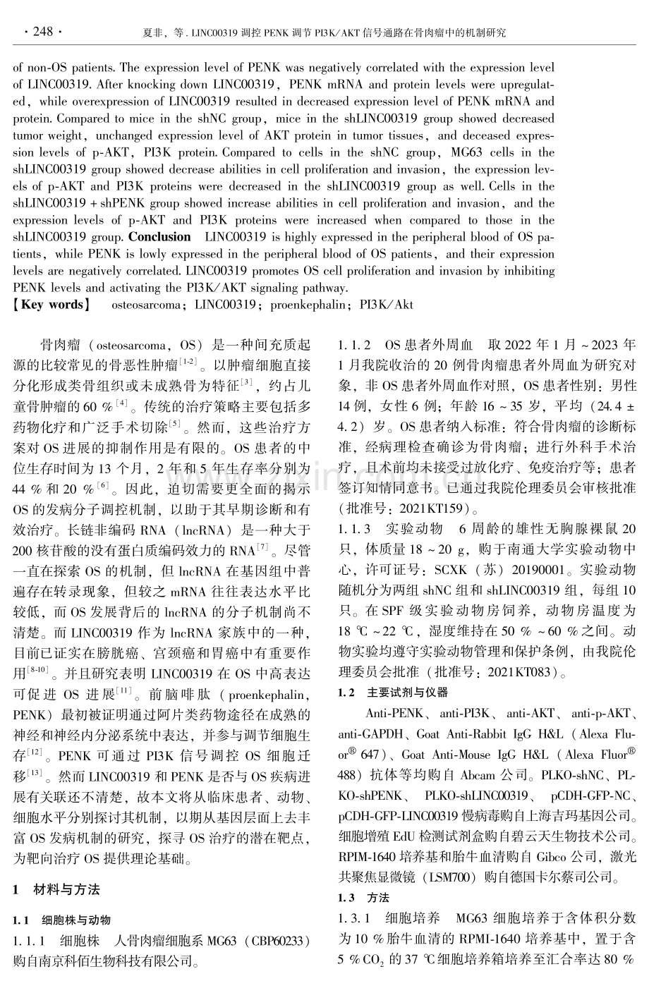 LINC00319调控PENK调节PI3K_AKT信号通路在骨肉瘤中的机制研究.pdf_第2页