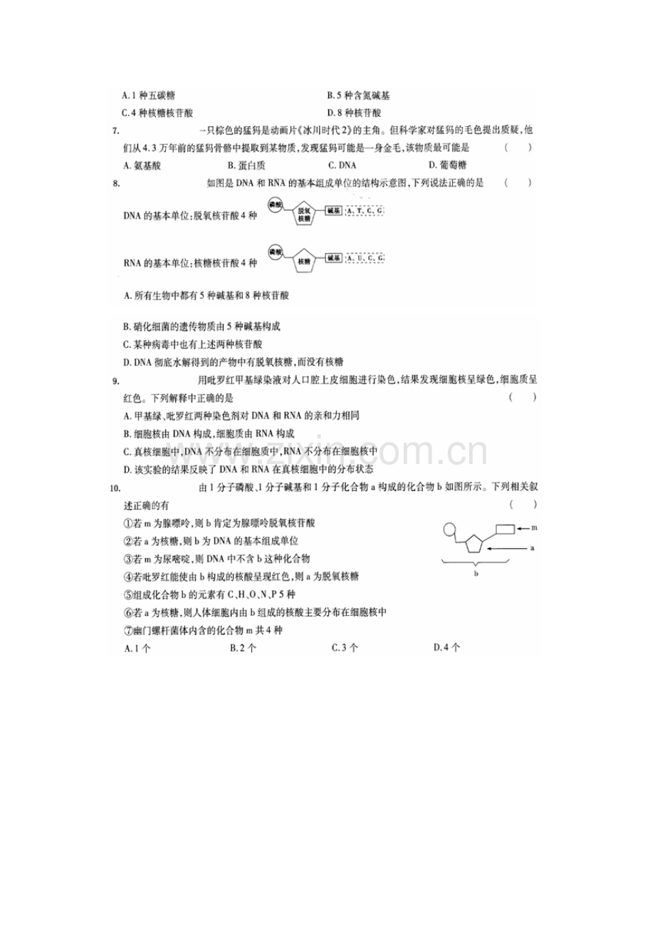 山东省鄄城县2016-2017学年高一生物上册第一次调研考试试题2.doc_第2页