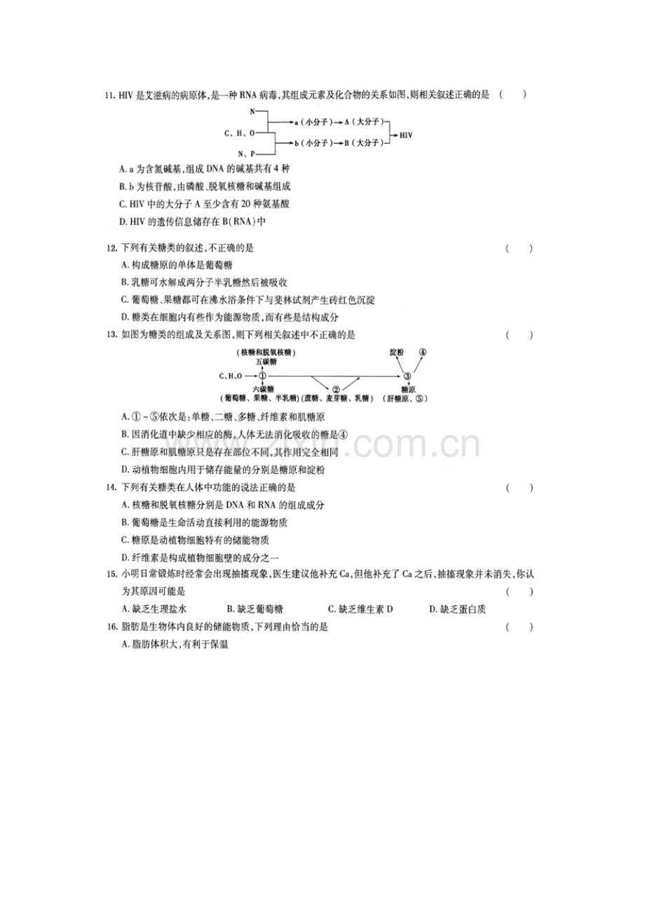 山东省鄄城县2016-2017学年高一生物上册第一次调研考试试题2.doc_第3页