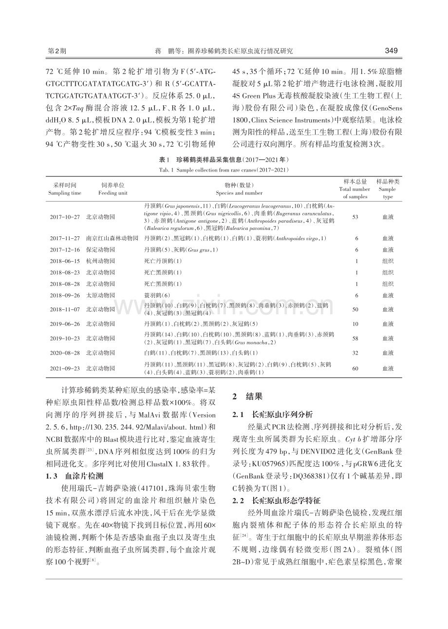 圈养珍稀鹤类长疟原虫流行情况研究.pdf_第3页