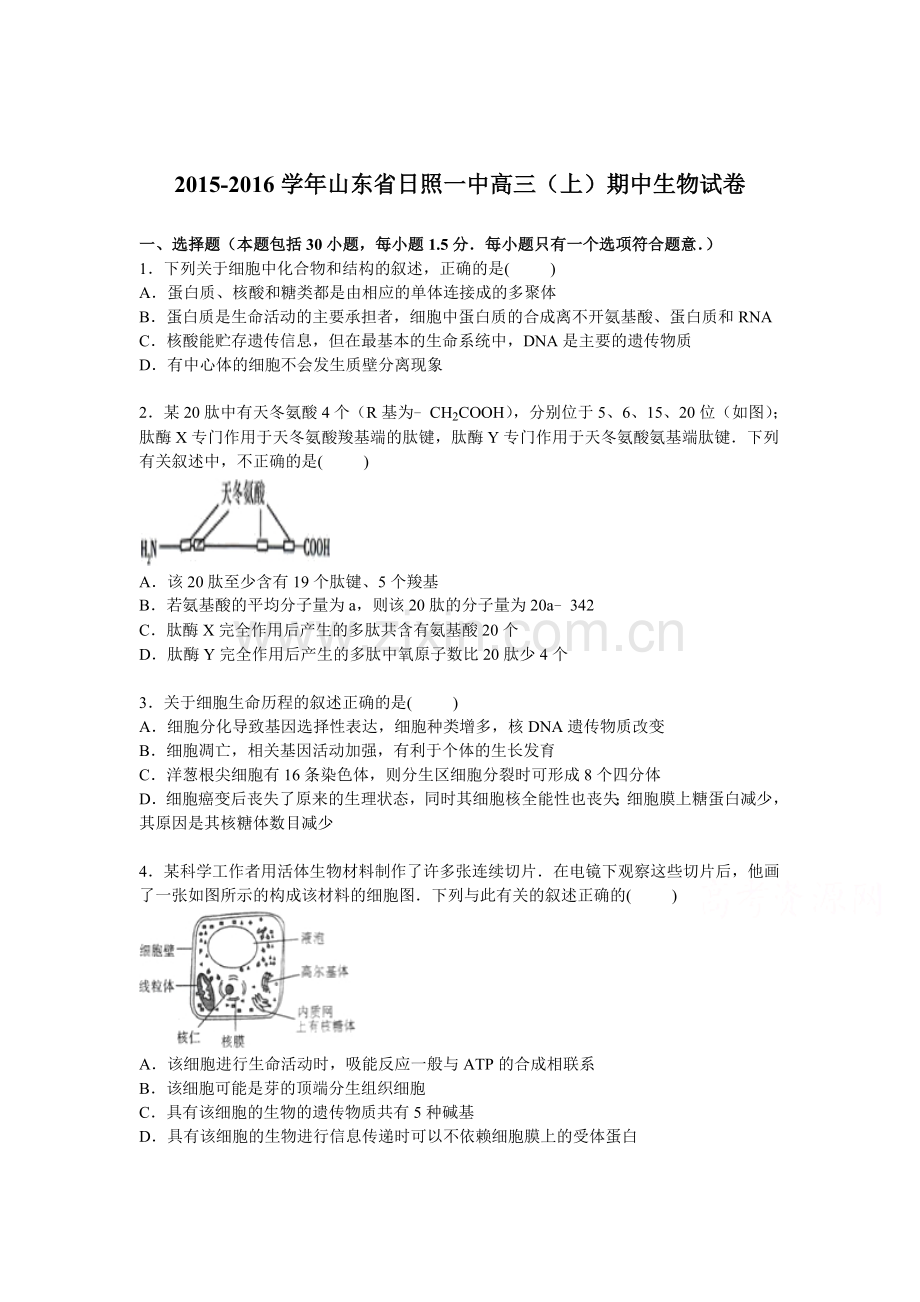 山东省日照一中2016届高三生物上册期中试题.doc_第1页