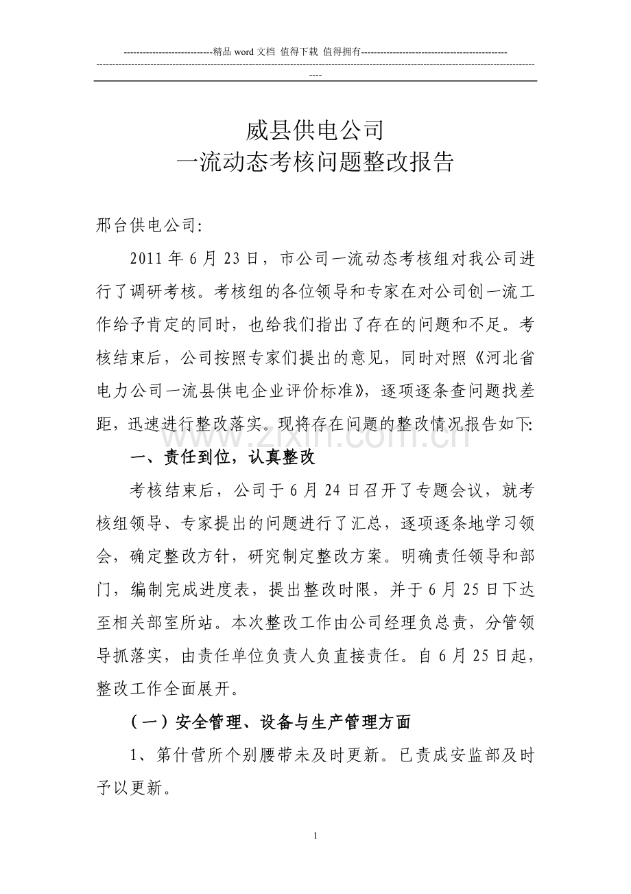 威县公司一流动态考核整改报告..doc_第1页