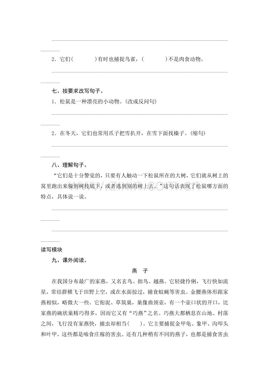 松鼠课时练习.doc_第2页