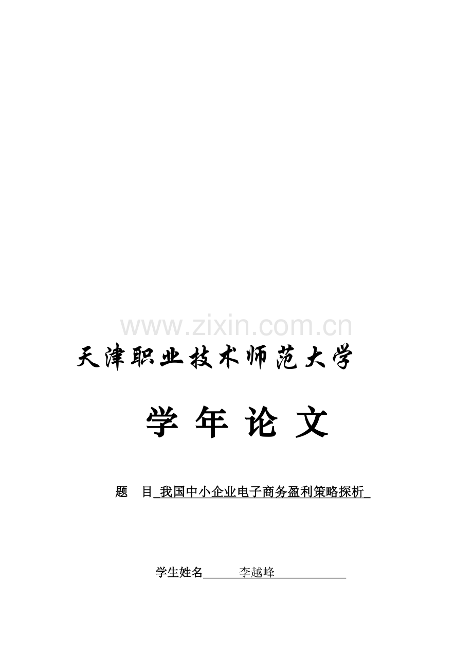 中小企业电子商务盈利策略探析.doc_第1页