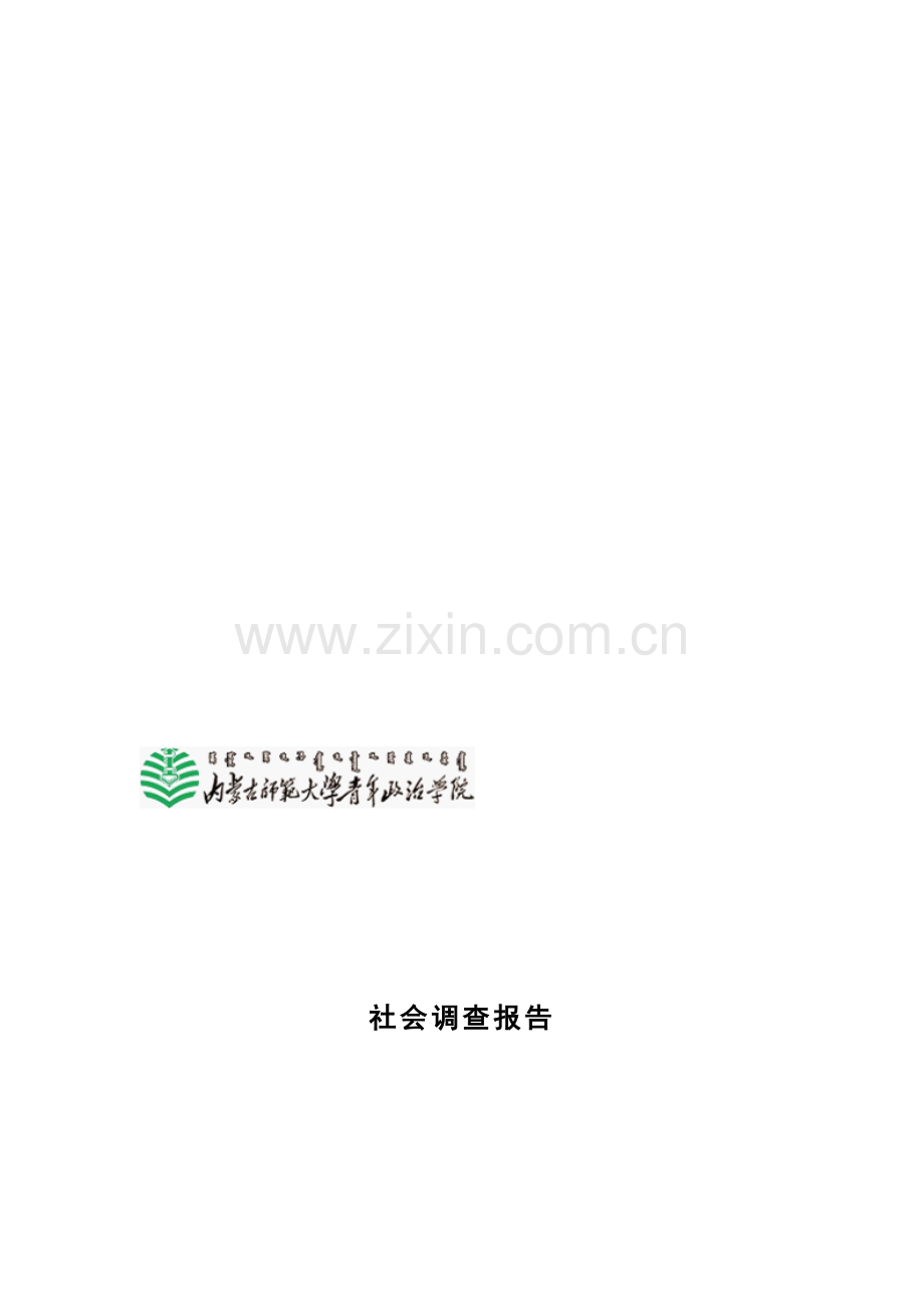 社会调查报告--壹基金.doc_第1页