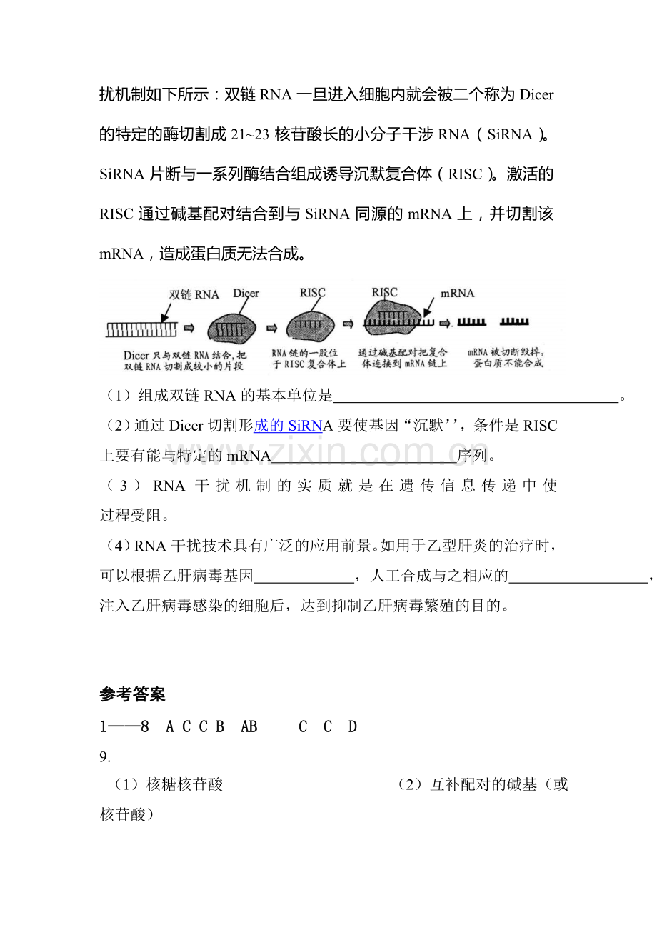 高一生物下册20分钟专题突破训练10.doc_第3页