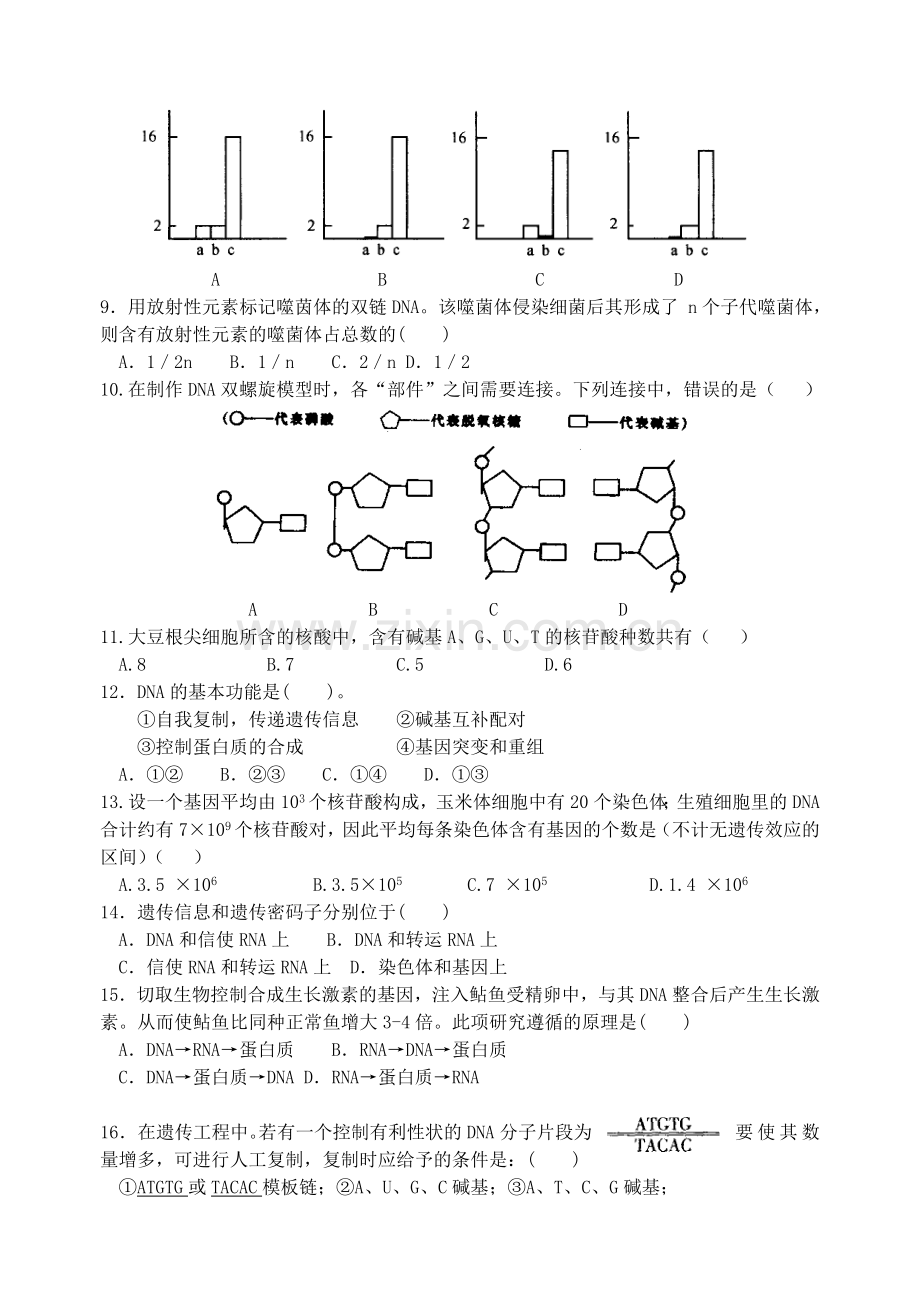 高二生物第6章(遗传部分)单元测试.doc_第2页