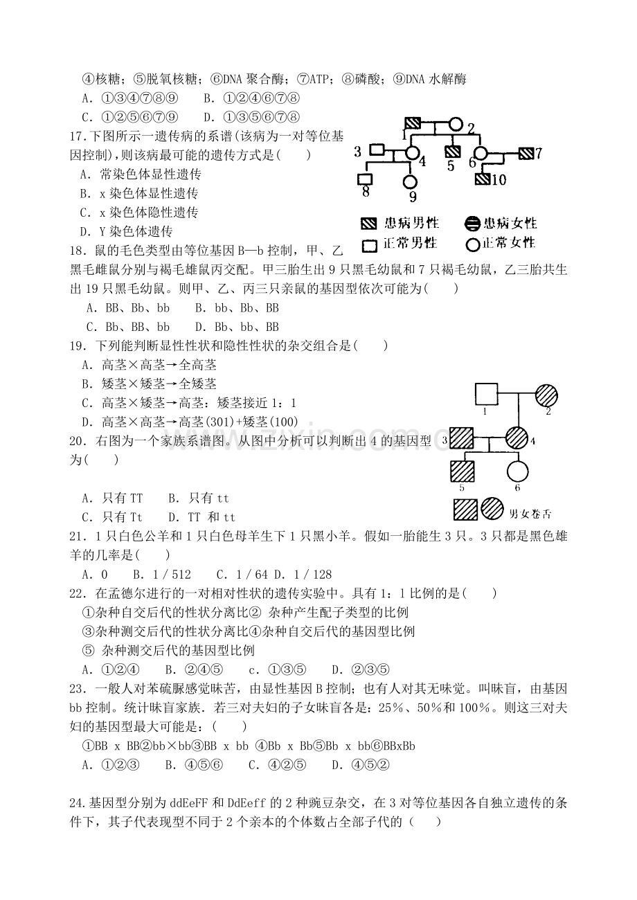 高二生物第6章(遗传部分)单元测试.doc_第3页