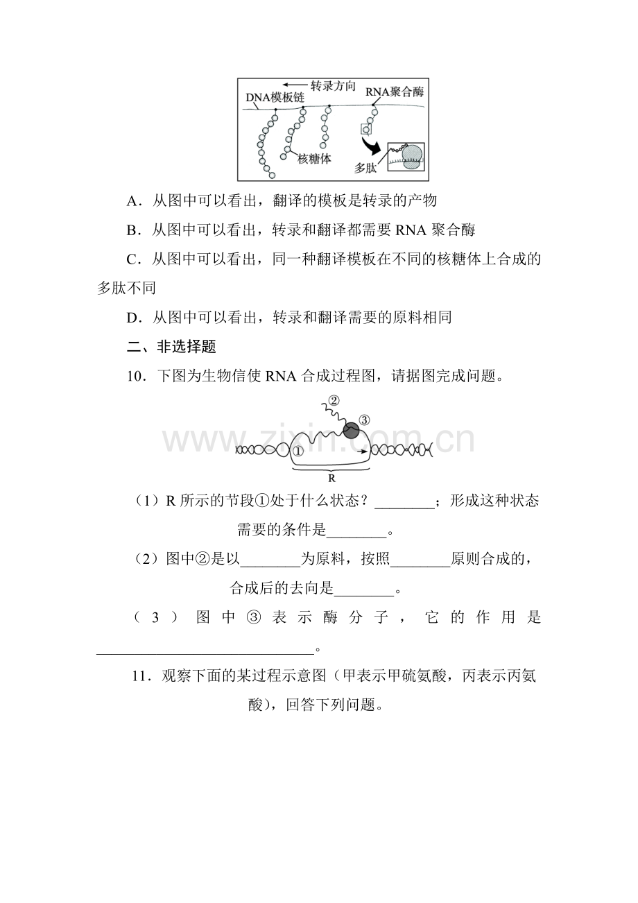 2016-2017学年高一生物下学期章末测试题20.doc_第3页