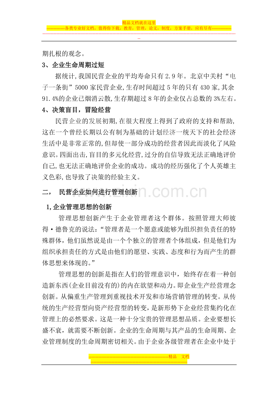 浅析民营企业创新管理.doc_第3页