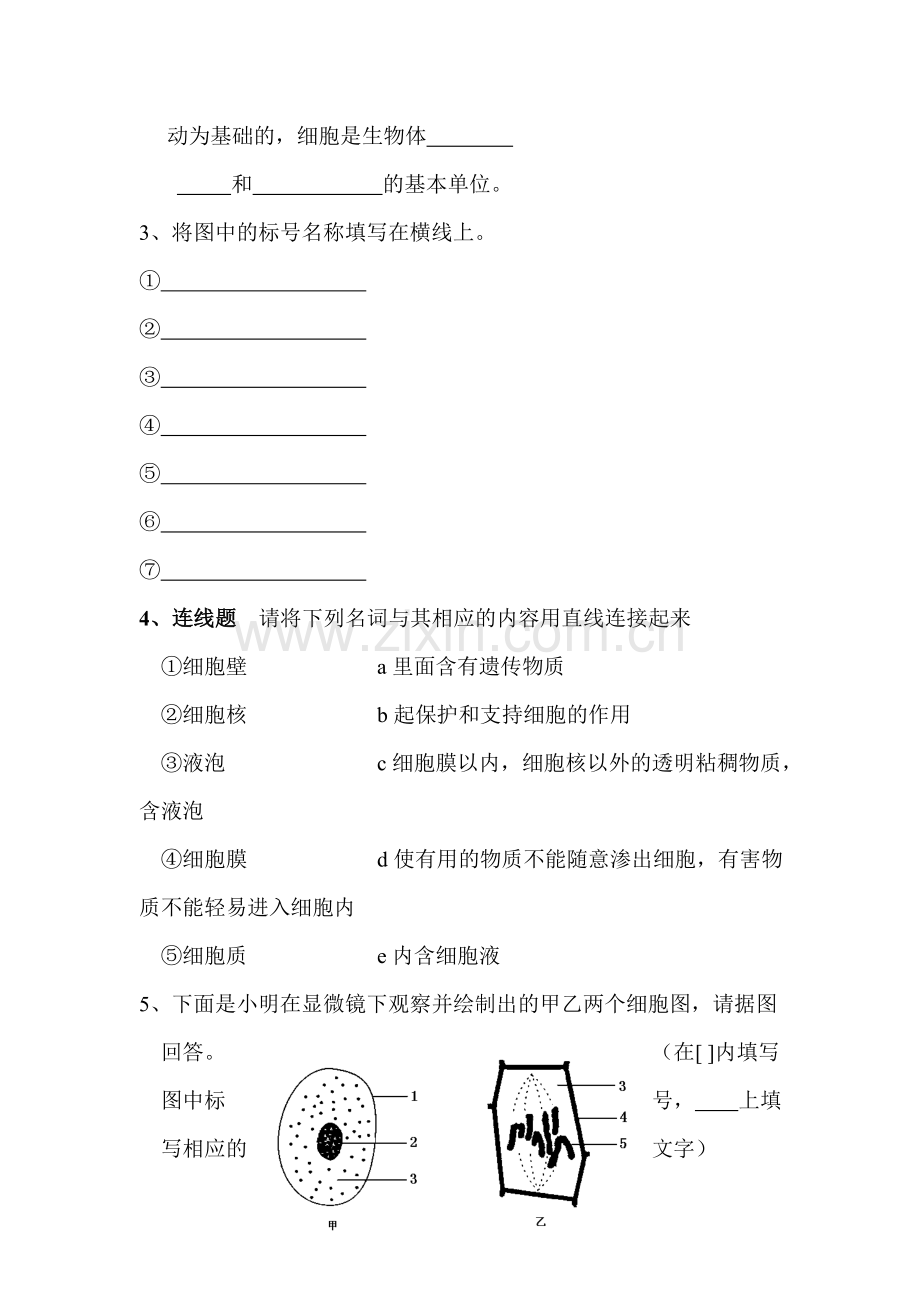 七年级生物细胞的结构和功能同步练习1.doc_第3页