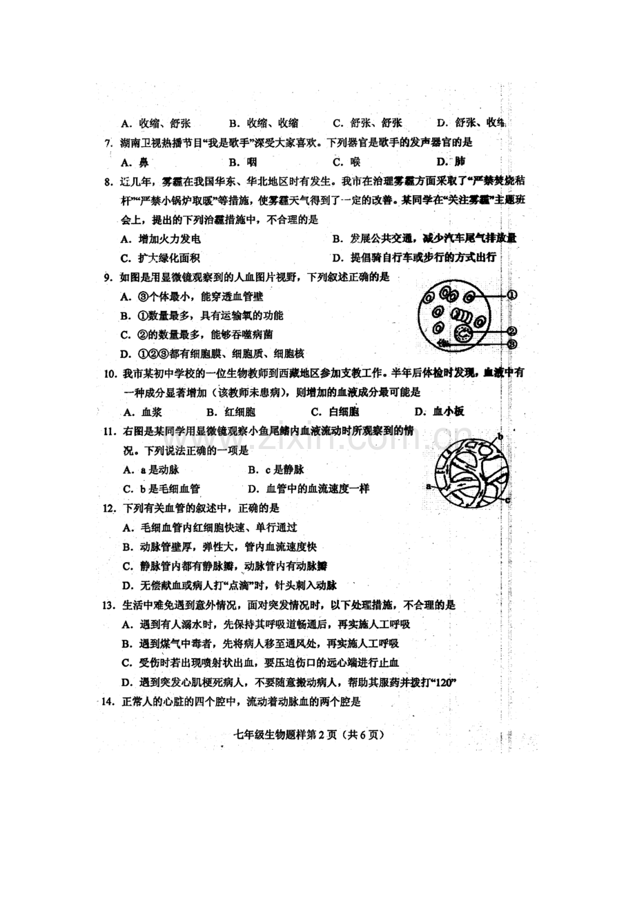 山东省菏泽市2015-2016学年七年级生物下册期中测试题.doc_第3页