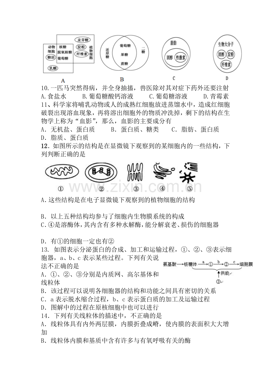 山东省淄博市2015-2016学年高一生物下册收心考试试题.doc_第3页