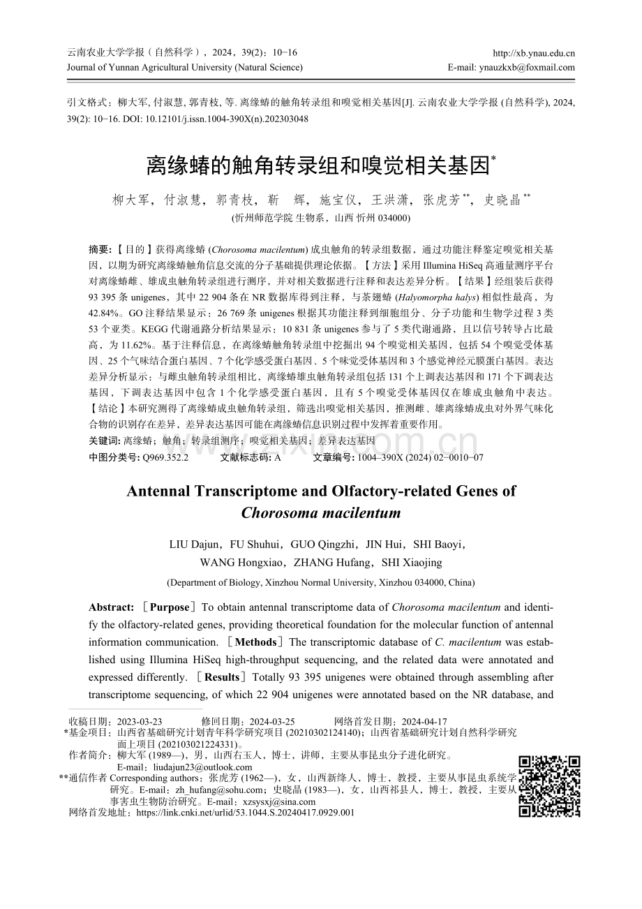 离缘蝽的触角转录组和嗅觉相关基因.pdf_第1页