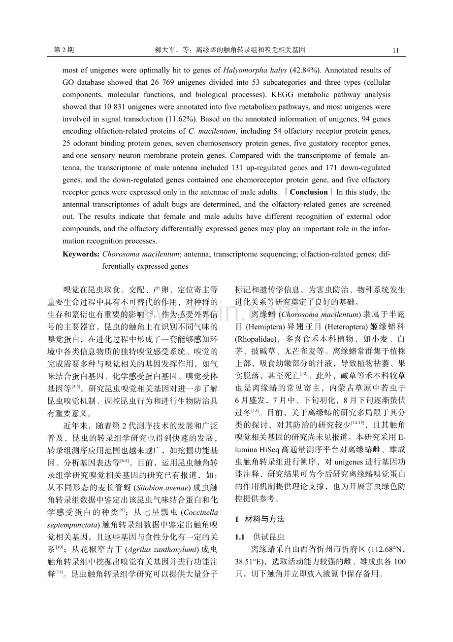 离缘蝽的触角转录组和嗅觉相关基因.pdf_第2页