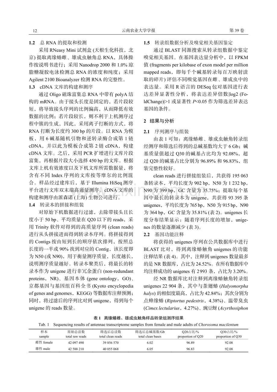 离缘蝽的触角转录组和嗅觉相关基因.pdf_第3页