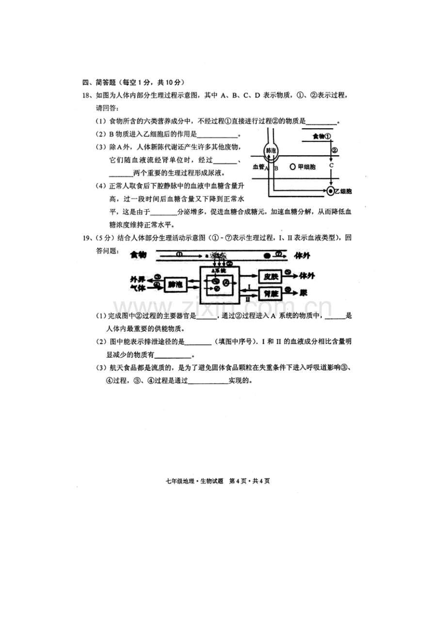 湖北省广水市2015-2016学年七年级生物下册期末考试题.doc_第3页